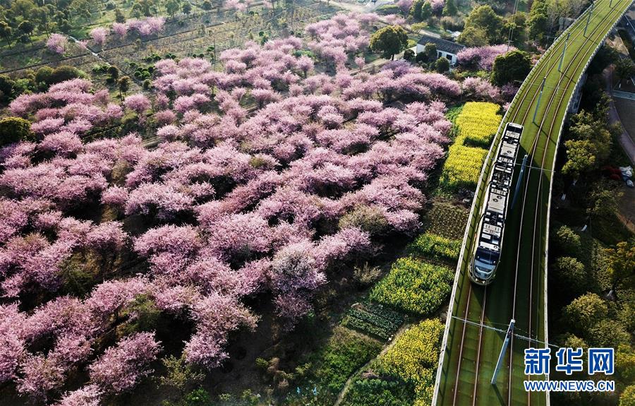 (新華全媒頭條·圖文互動)(4)偉大旗幟引領歷史巨變——習近平新時代中國特色社會主義思想指引“十三五”經濟社會發展述評