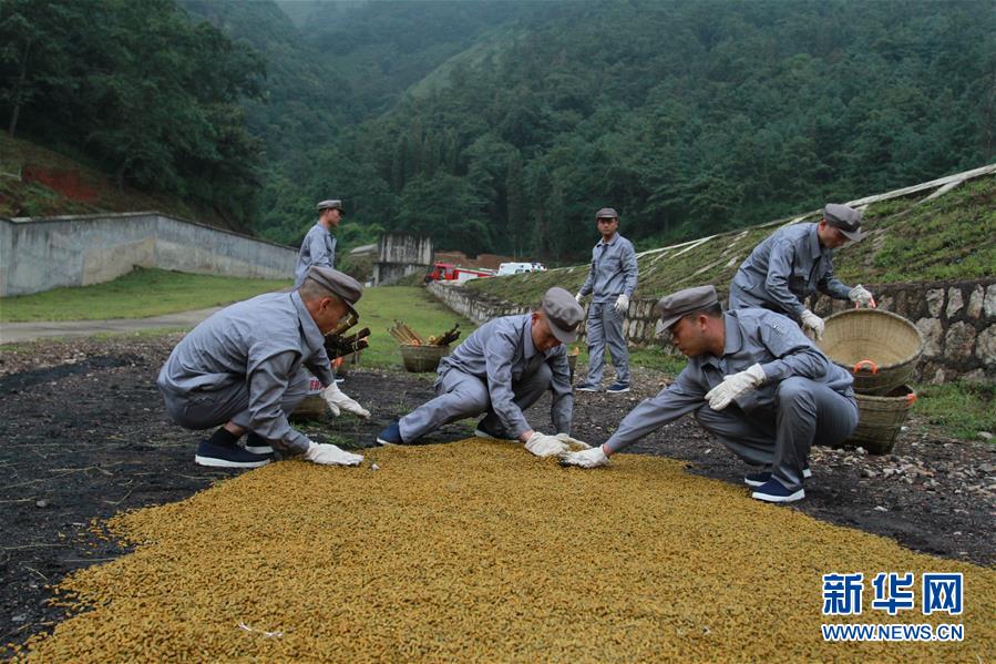 (在習近平強軍思想指引下·我們在戰位報告·圖文互動)(3)牢記統帥囑托  做刀尖上的舞者——記聯勤保障部隊某報廢武器彈藥銷毀站參謀長陳雪禮