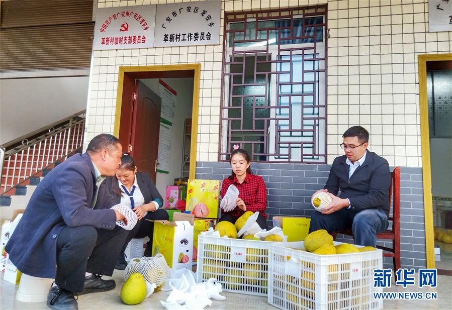 (新華全媒頭條·五中全會精神在基層·圖文互動)(1)奮發新青年 逐夢新征程——各地青年學習貫徹落實五中全會精神觀察