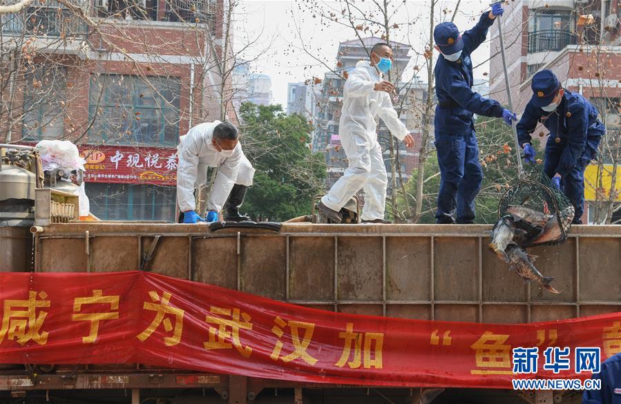 (新華全媒頭條·圖文互動)(12)從人民中汲取磅礴力量——習近平總書記同出席2020年全國兩會人大代表、政協委員共商國是紀實