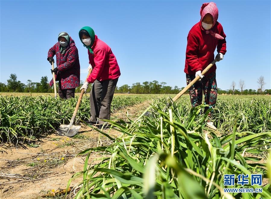(新華全媒頭條·圖文互動)(17)從人民中汲取磅礴力量——習近平總書記同出席2020年全國兩會人大代表、政協委員共商國是紀實