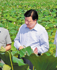 劉云山在浙江調研