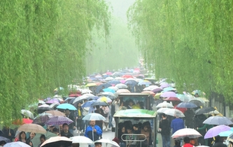 杭州:清明時節雨紛紛 西湖游客雨中游