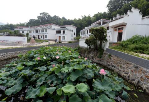 從“單一治理”到“全局治理”:贛南老區展示生態新畫卷