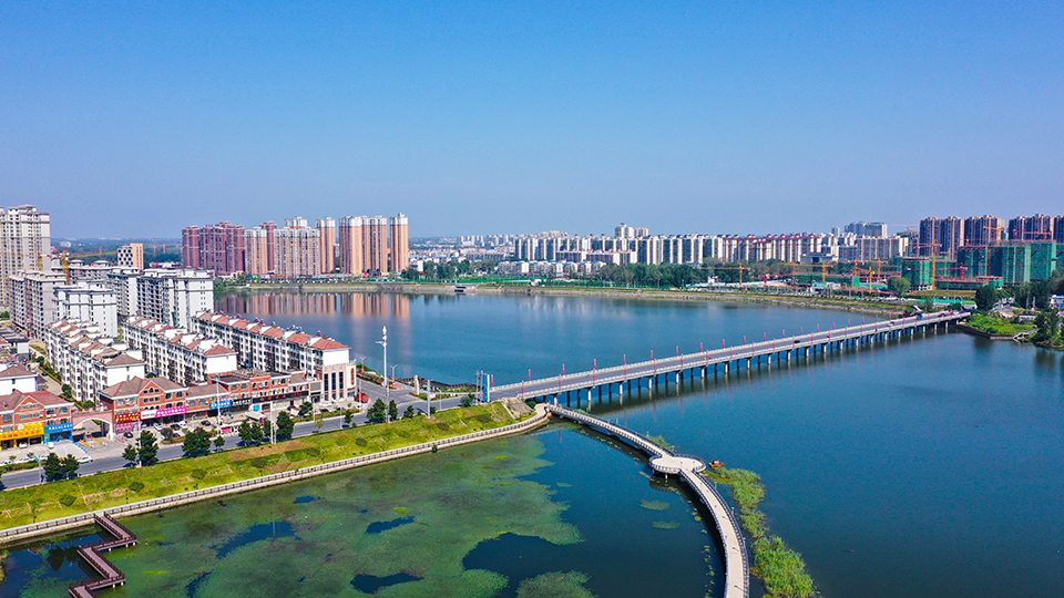 “一畝油茶百斤油,又娶媳婦又蓋樓”——河南光山走上生態富民路