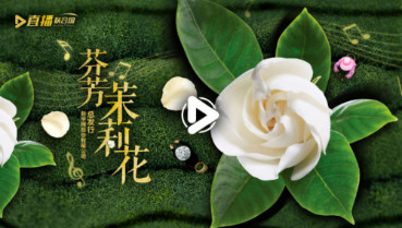 第五十一集:芬芳茉莉花
