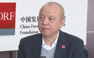 中國發展研究基金會秘書長盧邁