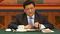 白瑪赤林:譜寫好中華民族偉大復興中國夢的西藏篇章