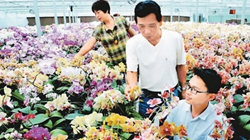 臺商眼中的改革開放:風景這邊獨好 要去,要去,要去!