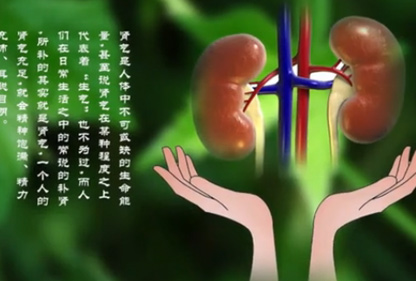 【新華圖視】中老年人保腎大作戰（二）