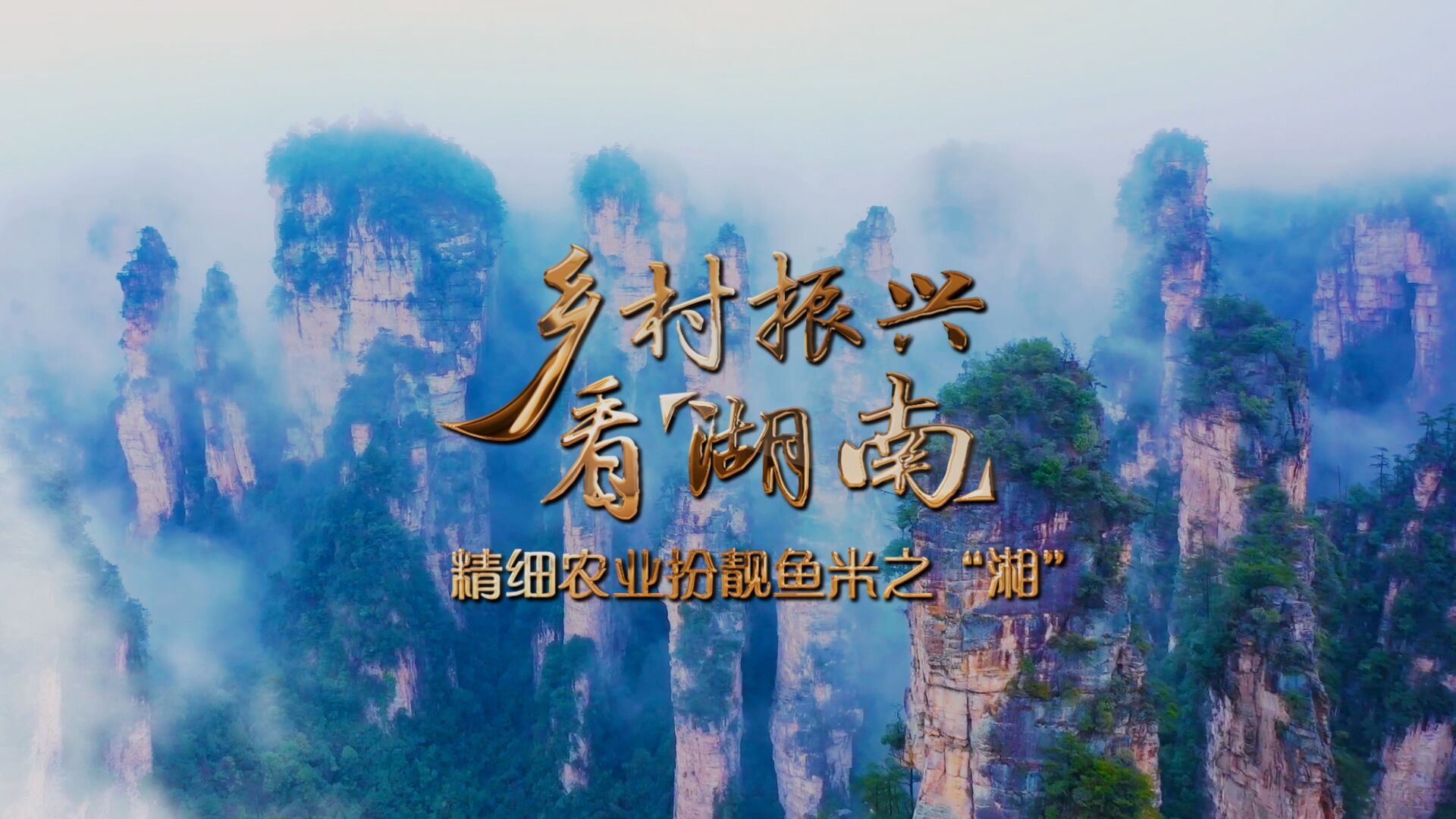 精細農業扮靚魚米之“湘”——鄉村振興看湖南