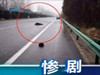 悠閑行人高速“遛彎”釀慘禍