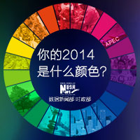 你的2014是什么顏色？