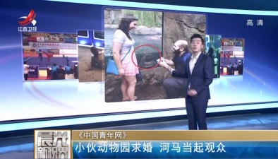 小伙動物園求婚 河馬當起觀眾