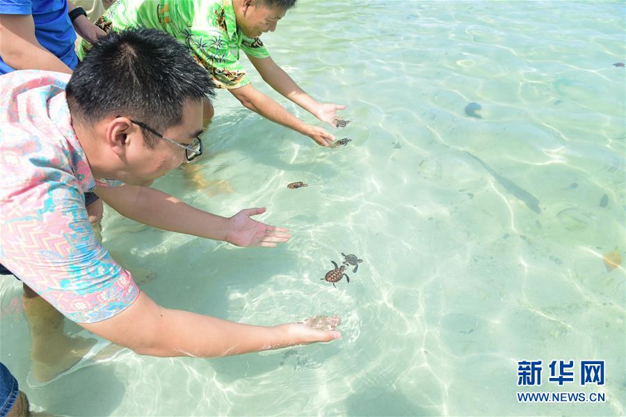 (國際·海外中國人追夢故事)(1)李嘉文:我在印尼當“島主”