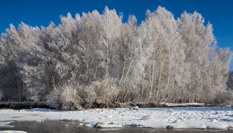 沖乎爾:“雪樹銀花”童話鎮