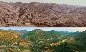 “黃土地”刷出“新顏值”:延安兩千萬畝“林海”誕生記