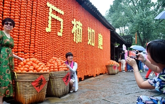 杭州:西溪火柿映秋波