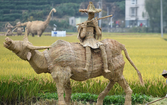 富陽:創意稻草人亮相稻田