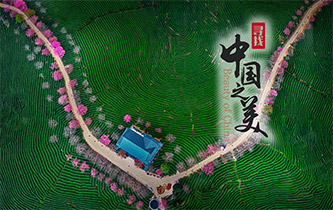 江山如畫,想把春的故事講給你聽